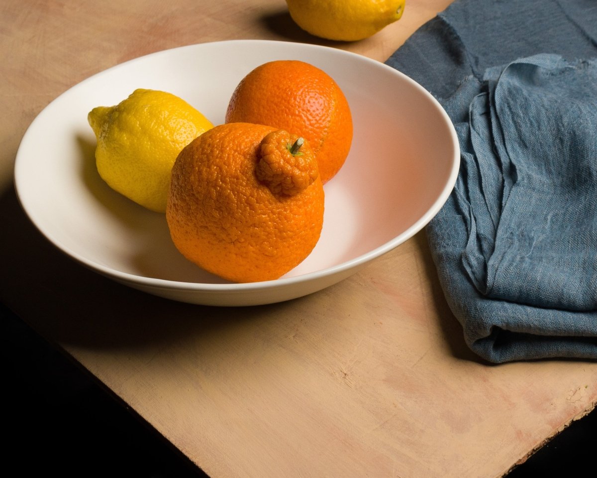 Haand Skali White Porcelain Dinner Bowl 9.5" - Handmade in USA