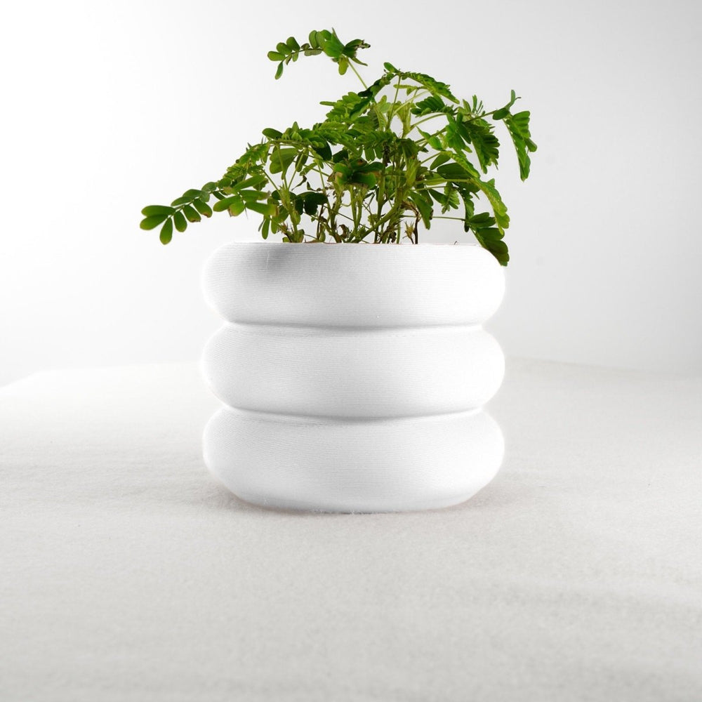
                      
                        Rosebud HomeGoods Hanging Bubble Planter - lily & onyx
                      
                    