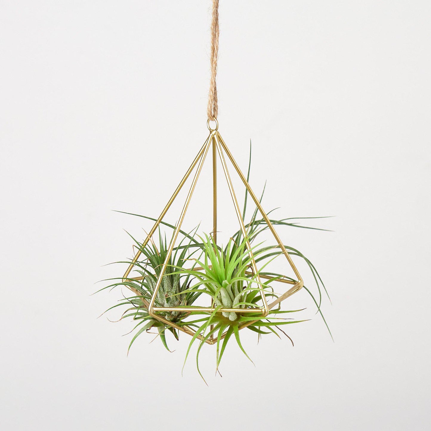 air plant frame holder Geometric Air Plant Hanger, Brass