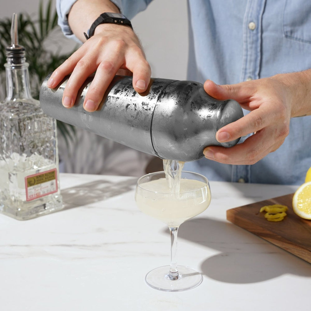 
                      
                        Viski Harrison Parisian Cocktail Shaker - lily & onyx
                      
                    
