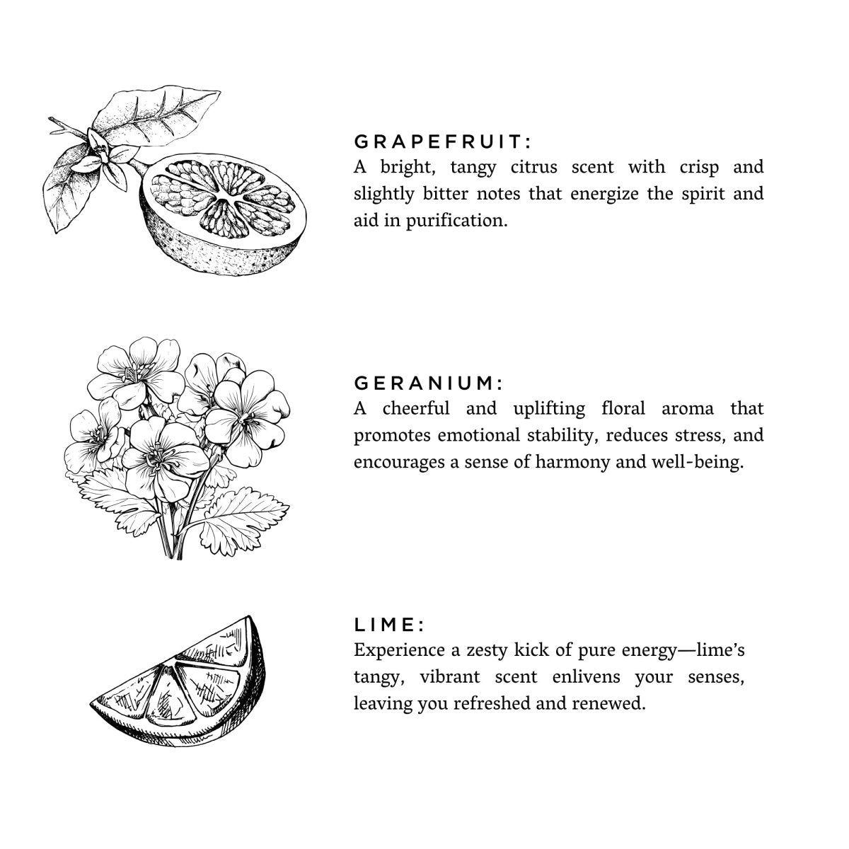 Slow North Hello Sunshine | Grapefruit + Geranium + Lime | Frosted Candle, 8 oz - lily & onyx