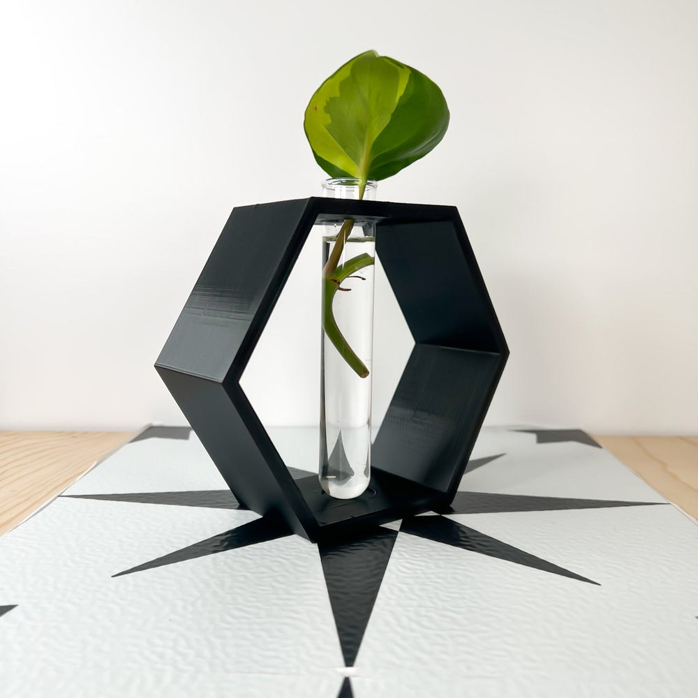 
                      
                        Hexagon Propagation Station
                      
                    