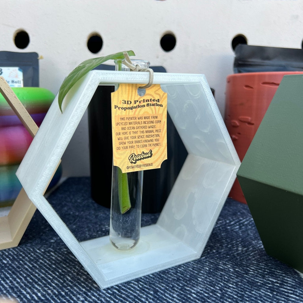 
                      
                        Hexagon Propagation Station
                      
                    
