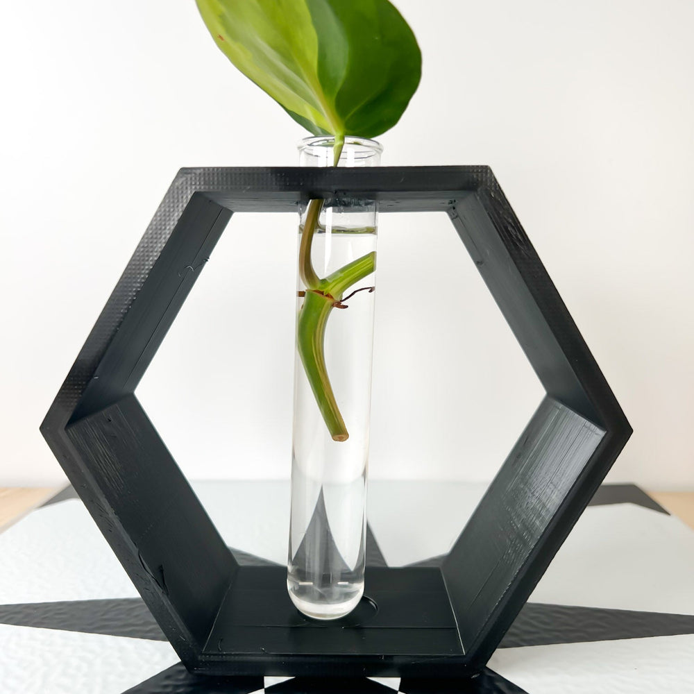 
                      
                        Hexagon Propagation Station
                      
                    