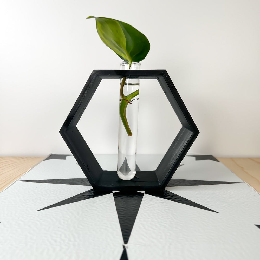 
                      
                        Hexagon Propagation Station
                      
                    