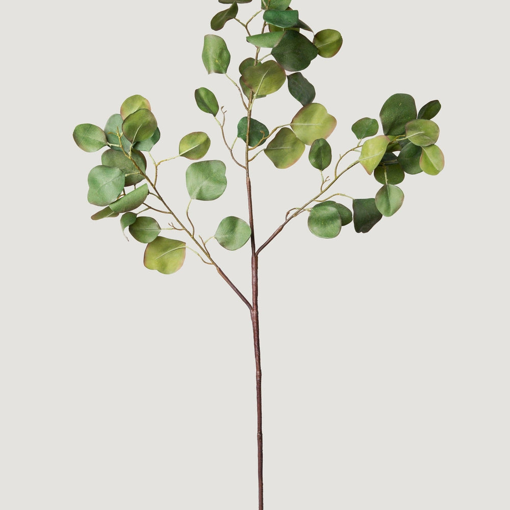 
                      
                        Faux Silver Dollar Eucalyptus Branch - 39"
                      
                    