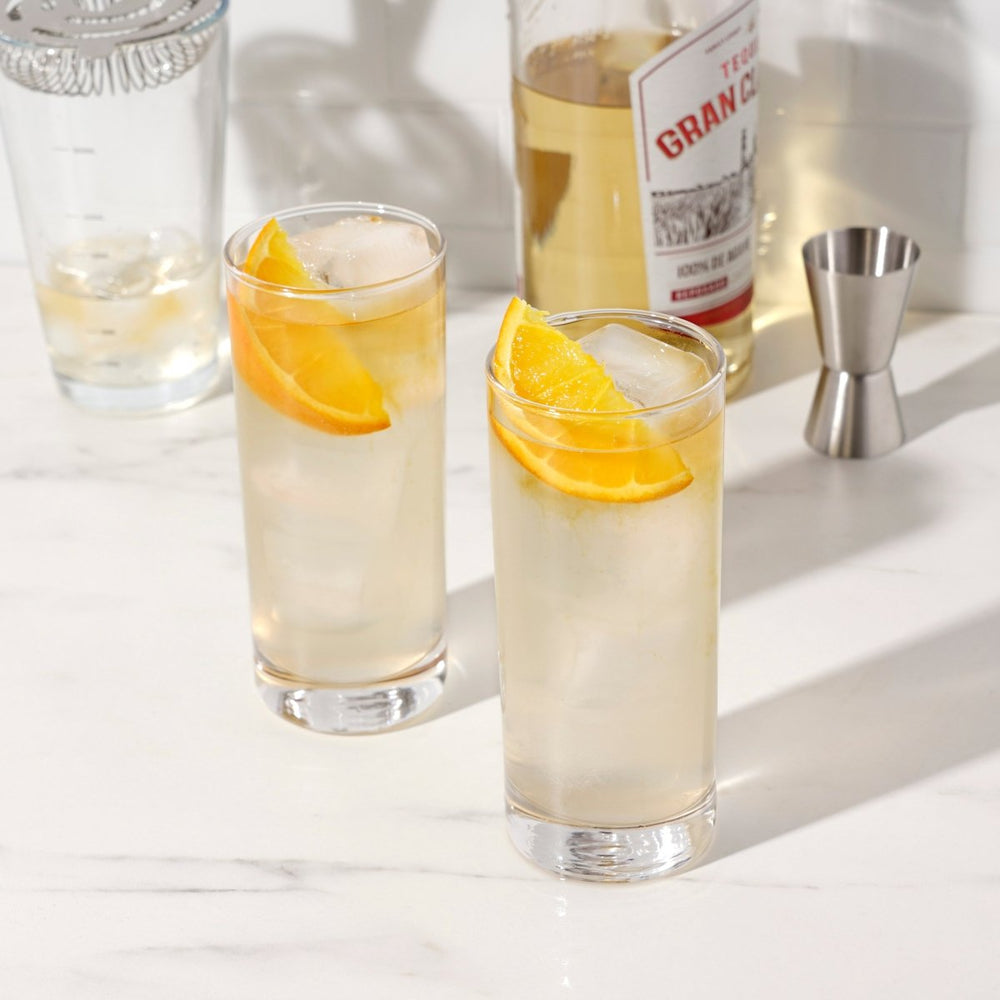 
                      
                        True Highball 11 oz Cocktail Glasses, Set of 4 - lily & onyx
                      
                    
