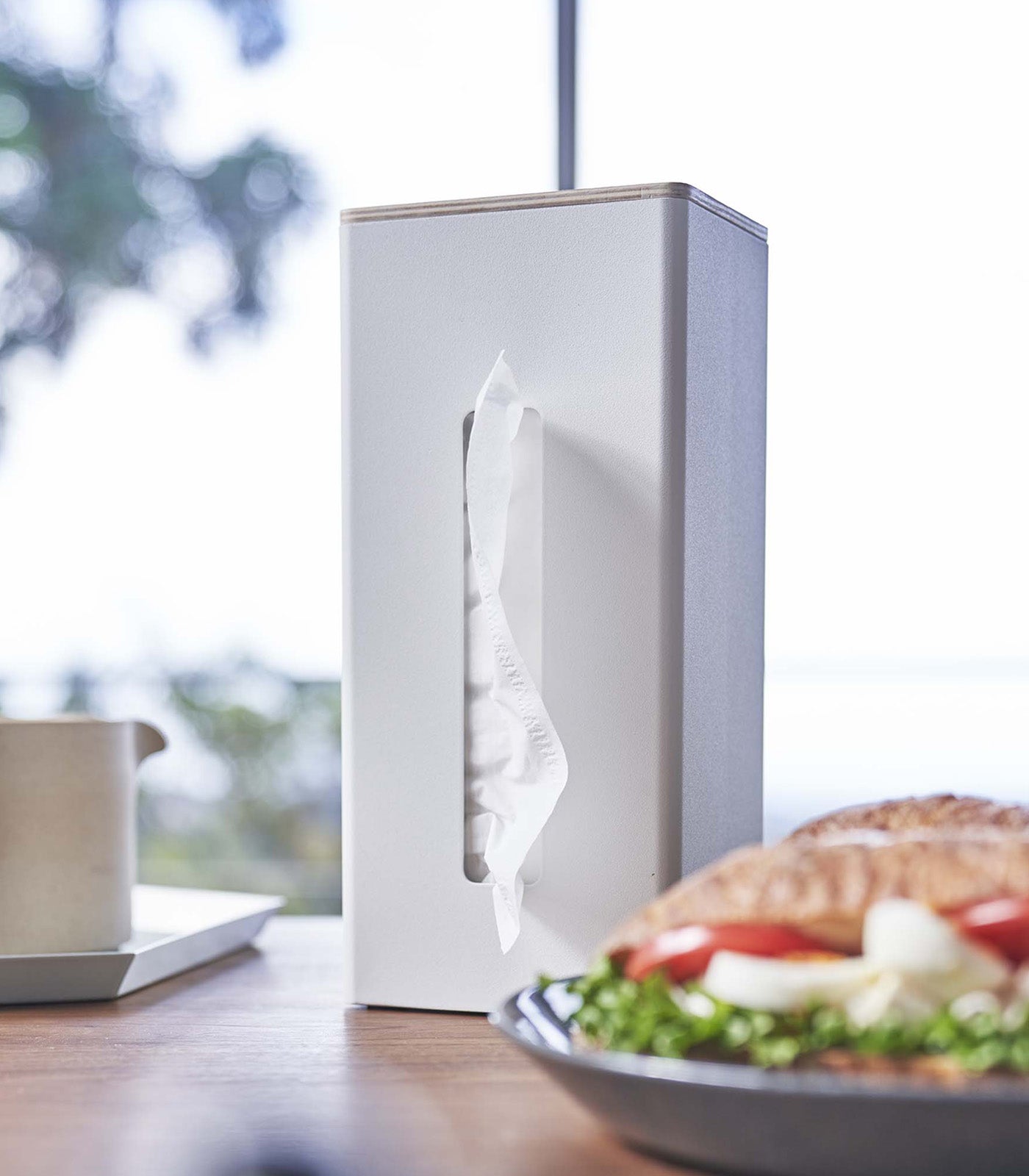 Two-Sided Steel & Wood Tissue Case