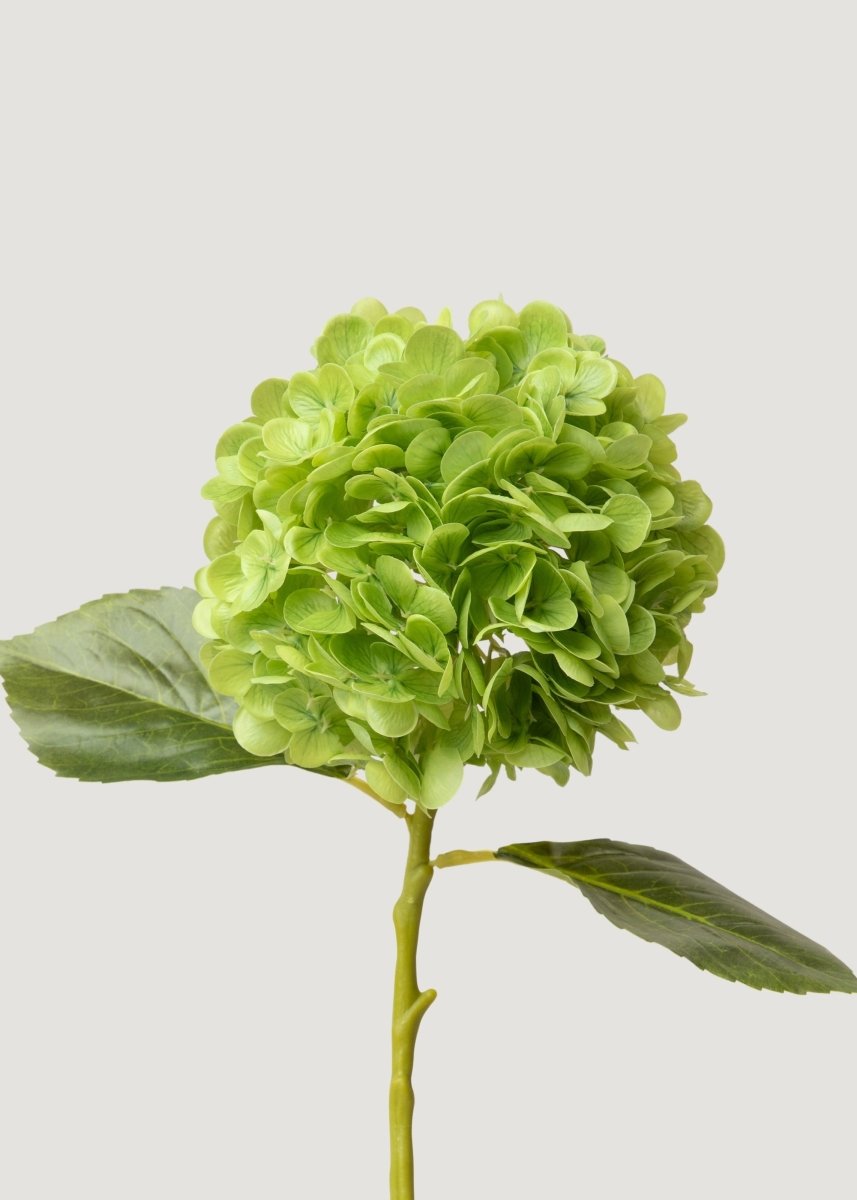 Afloral Hydrangea Real Touch Fake Flower in Green - 18.5" - lily & onyx