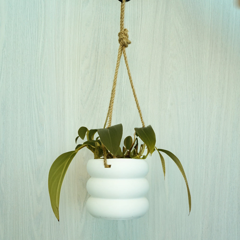 Hanging Bubble Planter