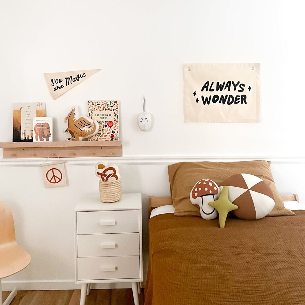 
                      
                        Pinwheel Pillow
                      
                    