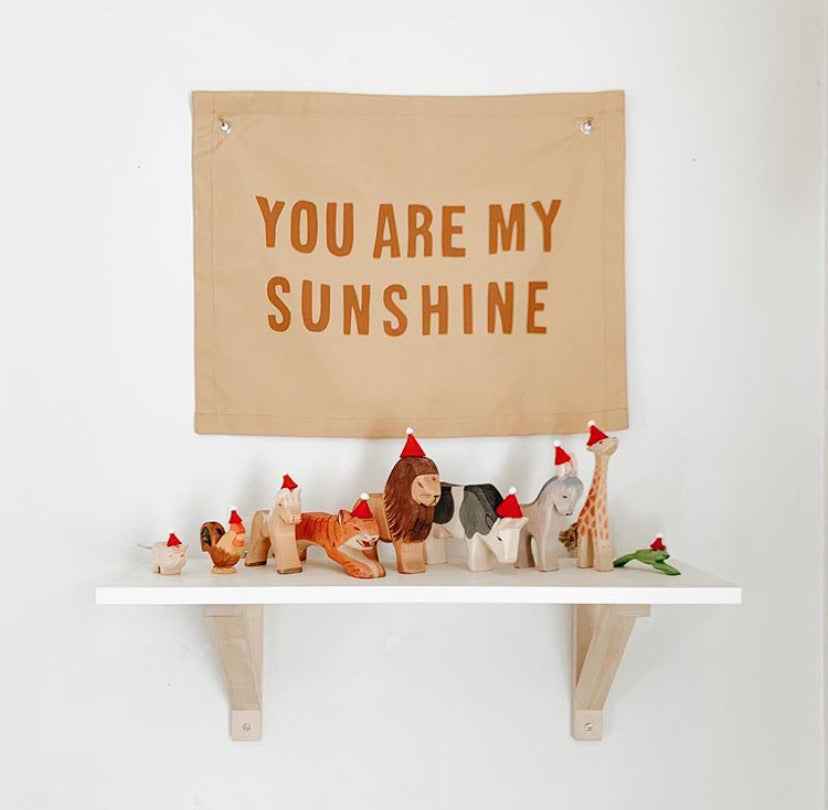 
                      
                        Sunshine Banner
                      
                    