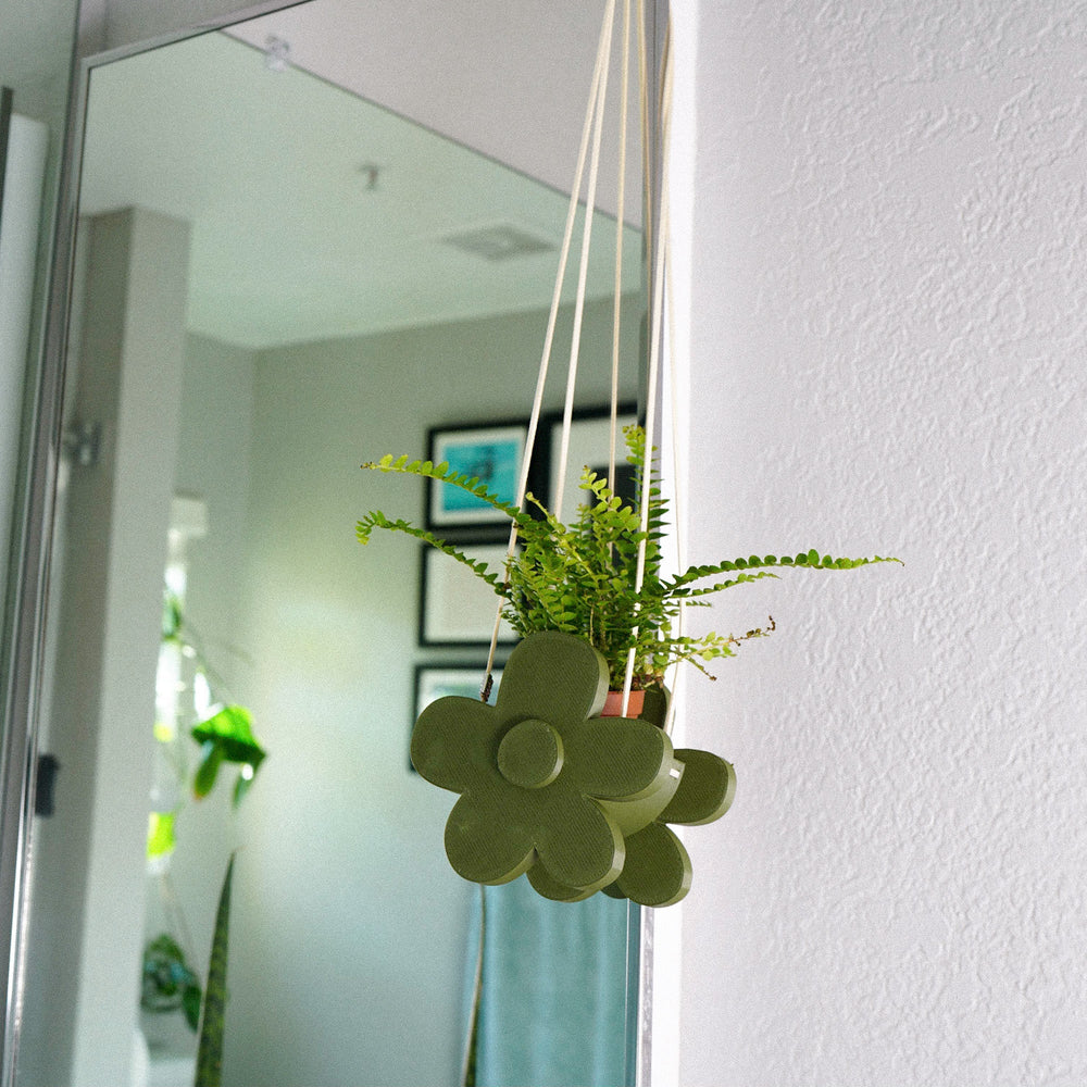 
                      
                        Indoor Hanging Daisy Planter
                      
                    