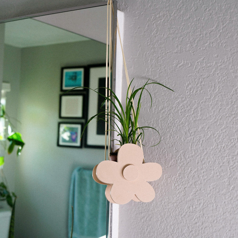 
                      
                        Indoor Hanging Daisy Planter
                      
                    
