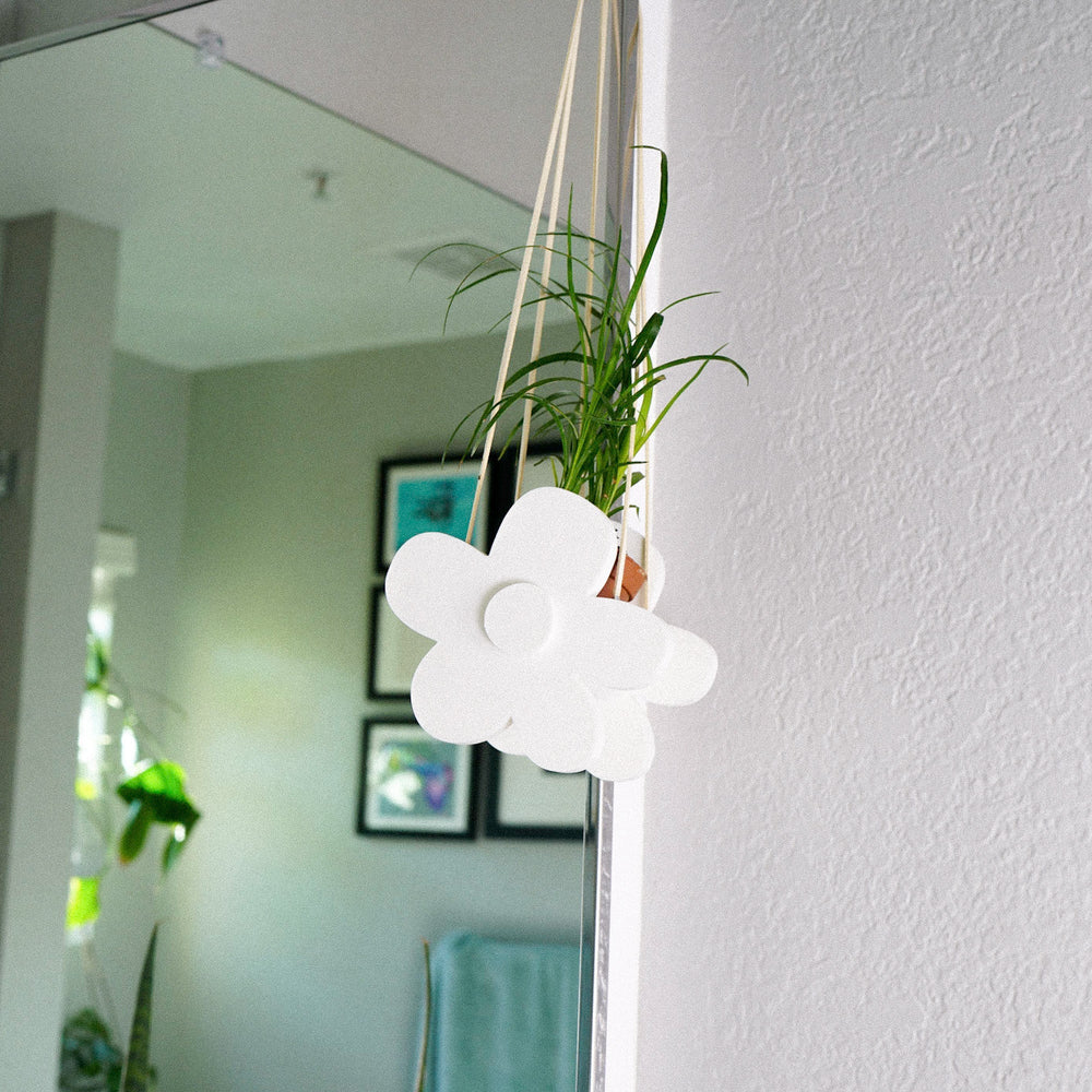 
                      
                        Indoor Hanging Daisy Planter
                      
                    