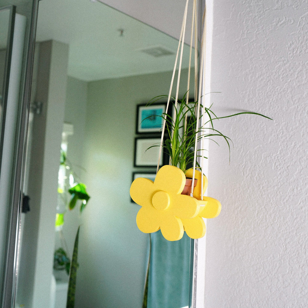 
                      
                        Indoor Hanging Daisy Planter
                      
                    