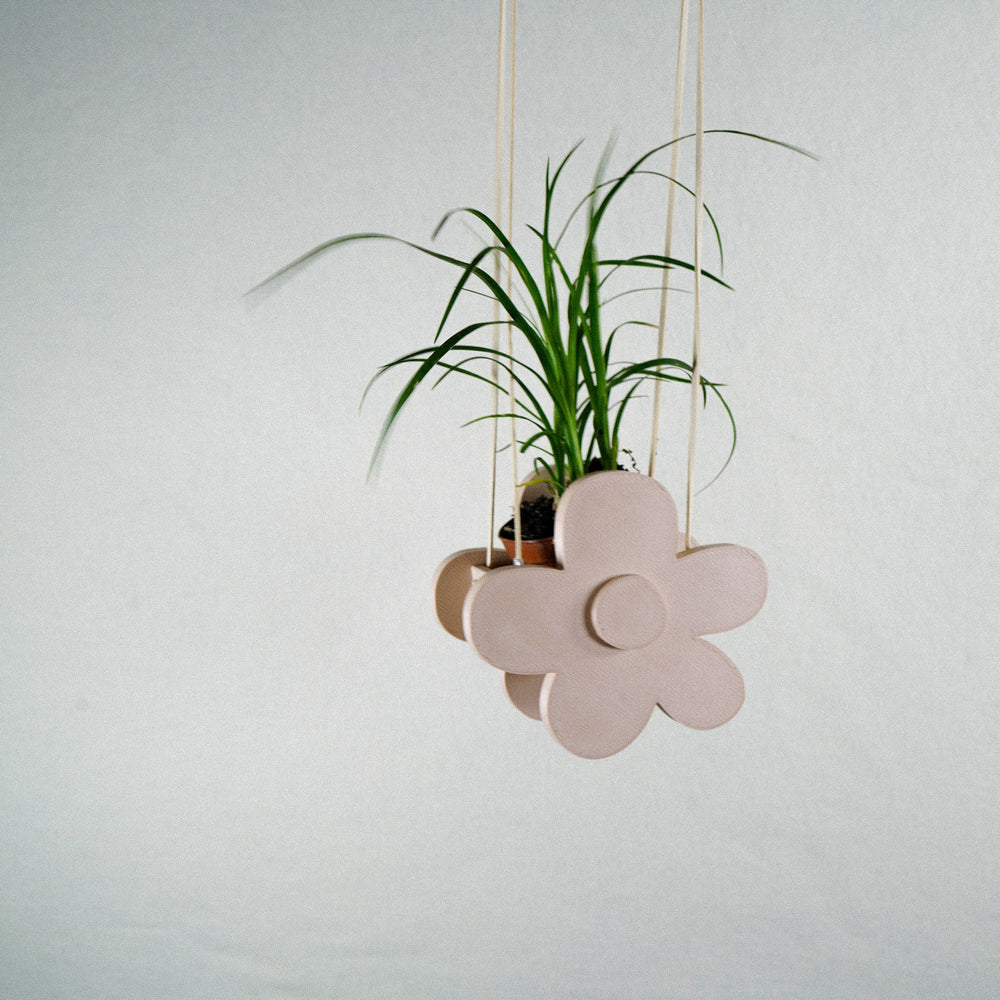 
                      
                        Indoor Hanging Daisy Planter
                      
                    