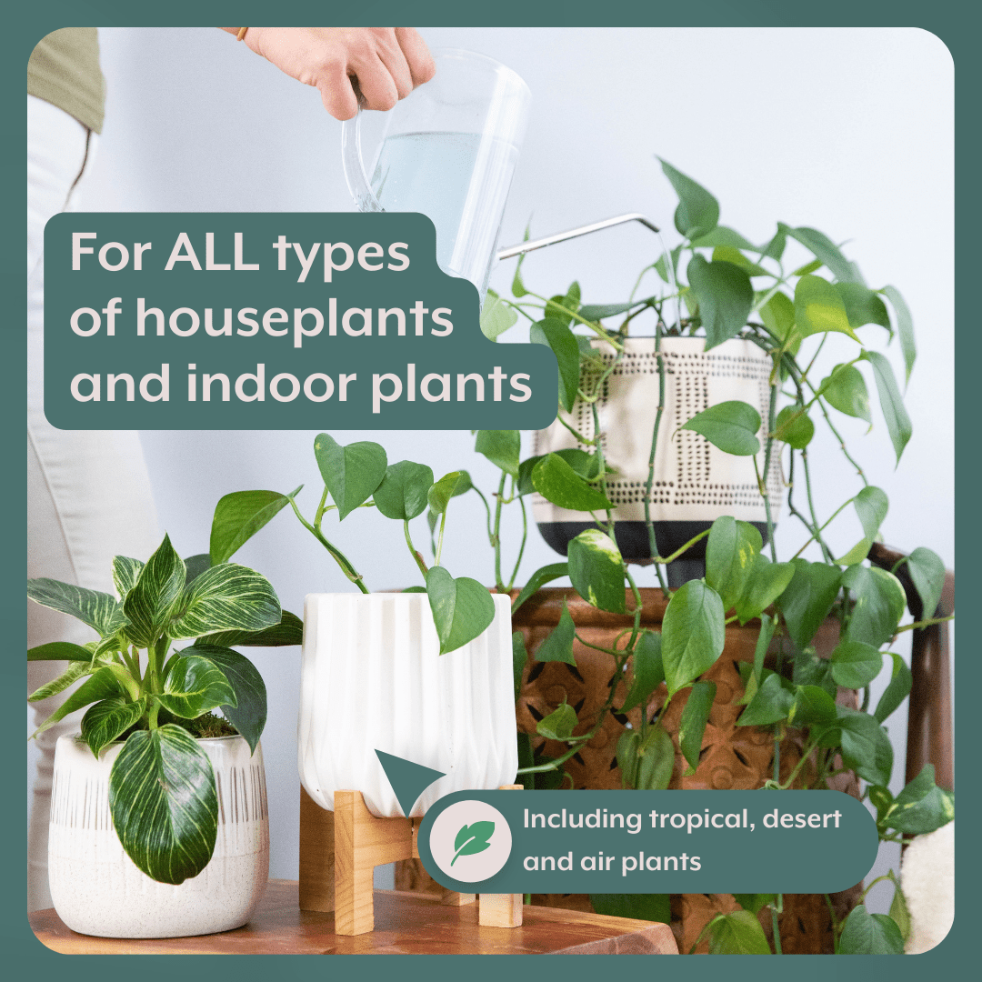 Instant Plant Food The Thrive Bundle | Plant Food & ProBiotic Fertilizer Tablets for Houseplants (4+4 Tablets)