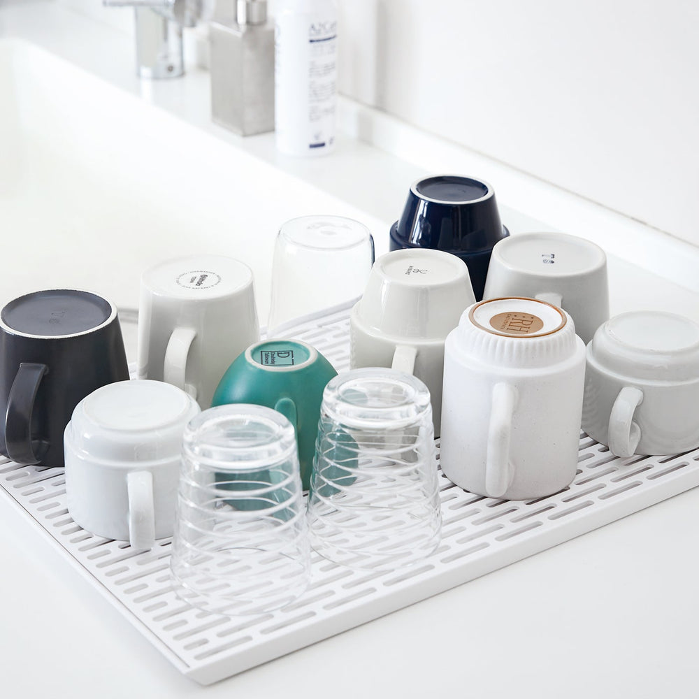 Dish Drainer Tray