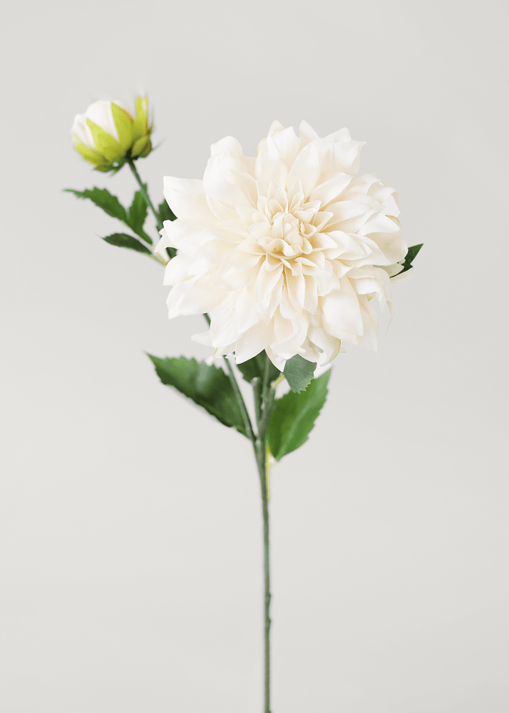 
                      
                        Afloral Ivory Artificial Dahlia Flower - 19.5" - lily & onyx
                      
                    