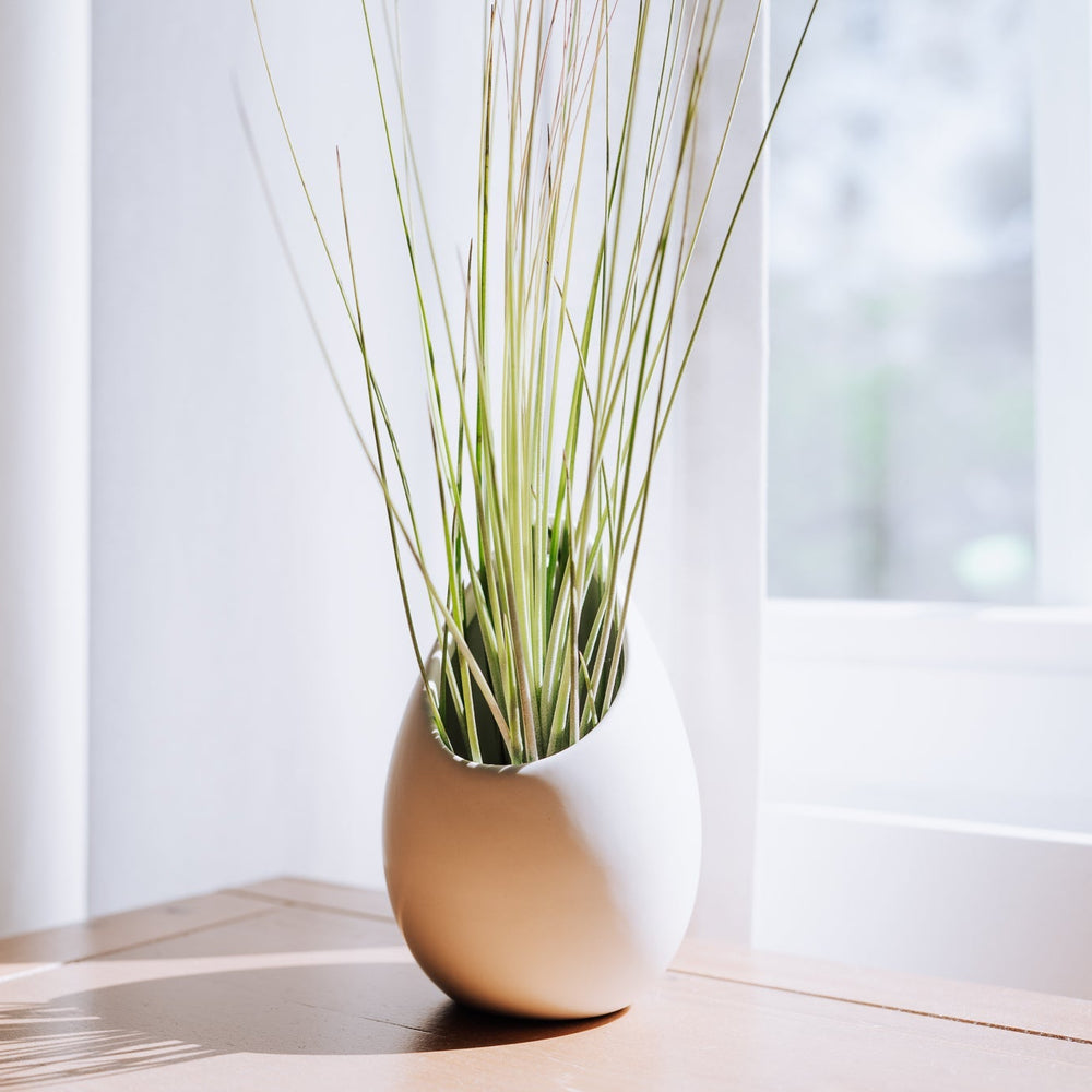 Small Ivory Ceramic Hanging Plant Pot With Flat Bottom
