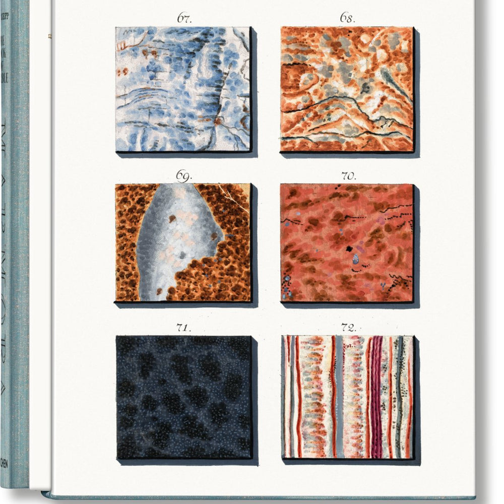 TASCHEN Jan Christiaan Sepp. The Book of Marble (German, French, English) - lily & onyx