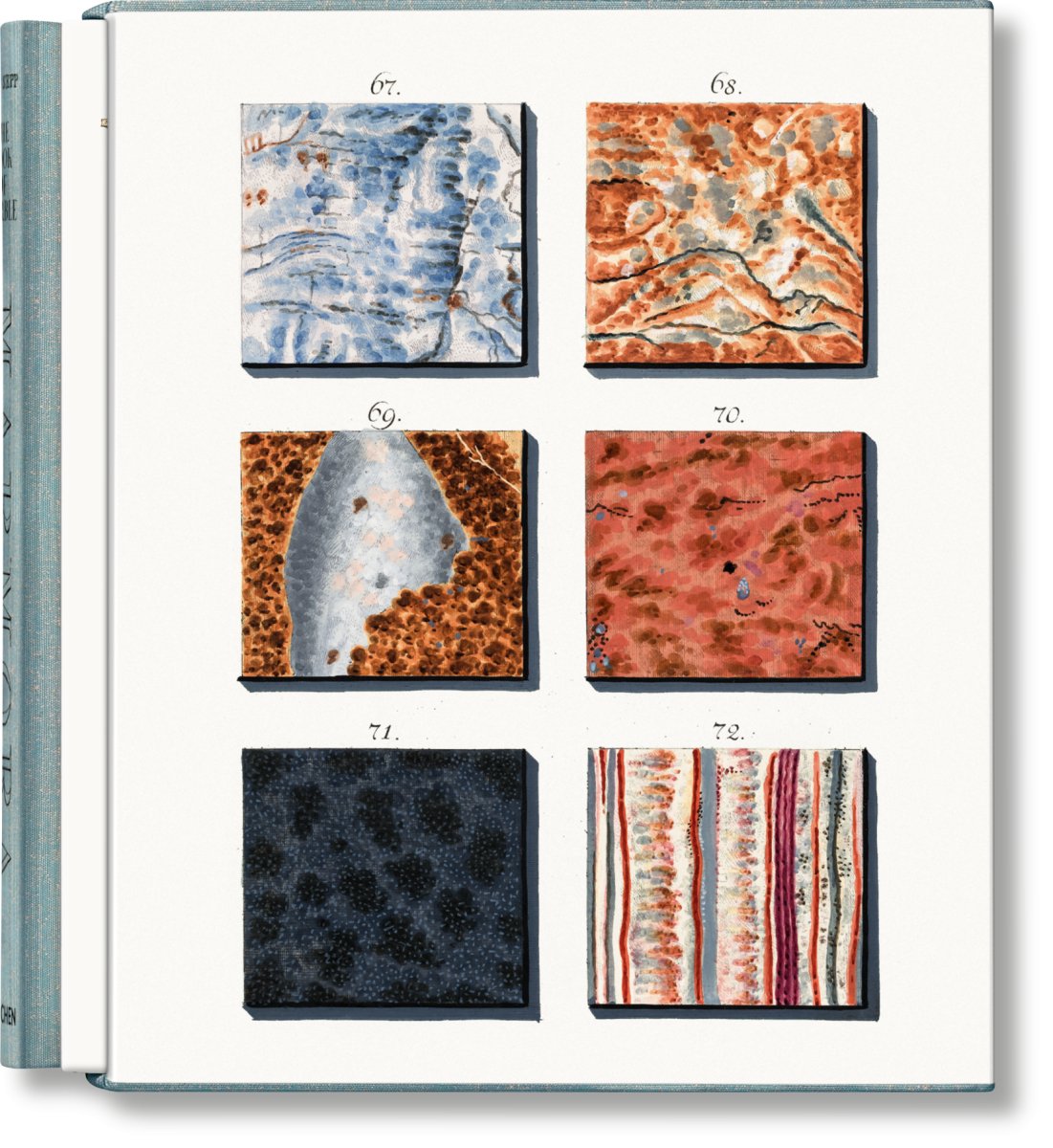 TASCHEN Jan Christiaan Sepp. The Book of Marble (German, French, English) - lily & onyx