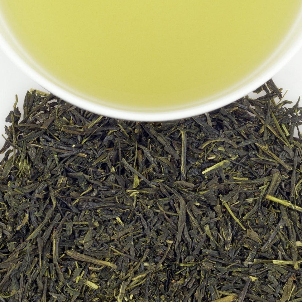 Harney & Sons Fine Teas Japanese Sencha Tea - lily & onyx