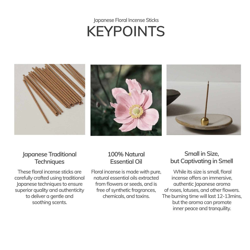 
                      
                        CEDAR AND MYRRH Jasmine Japanese Incense Stick Set with Brass Holder – 30 Sticks - lily & onyx
                      
                    