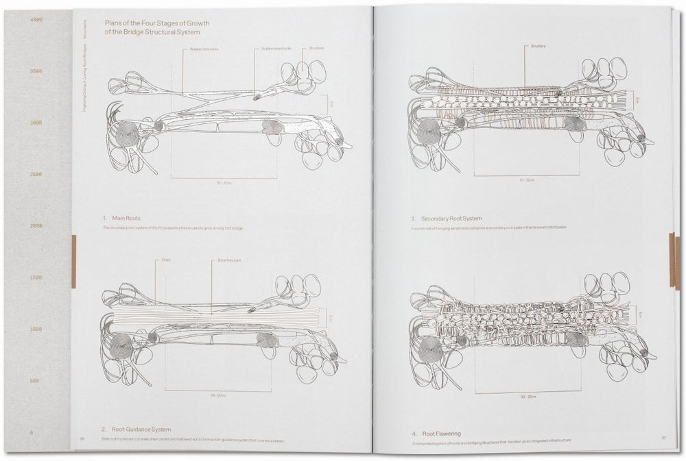 
                      
                        TASCHEN Julia Watson. Lo—TEK. Design by Radical Indigenism (English) - lily & onyx
                      
                    