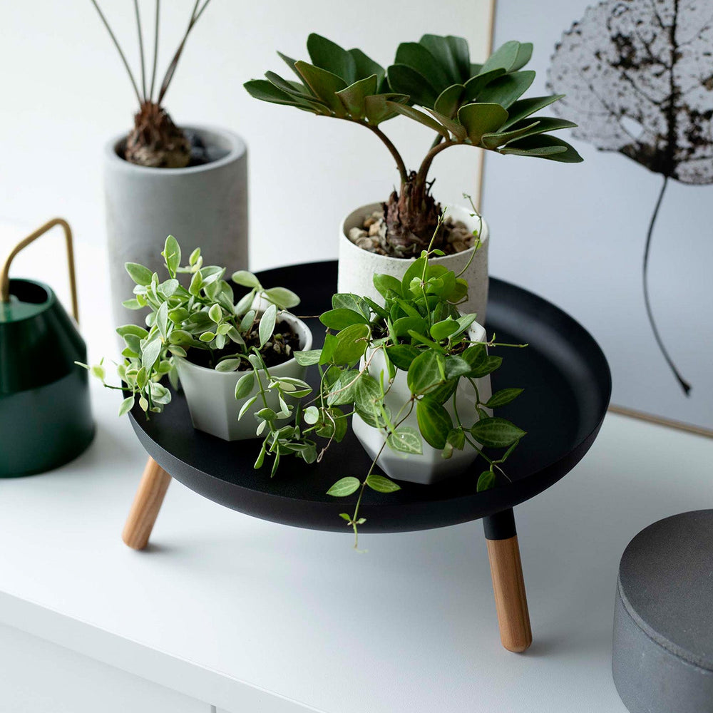 
                      
                        Countertop Pedestal Tray, 5" H
                      
                    