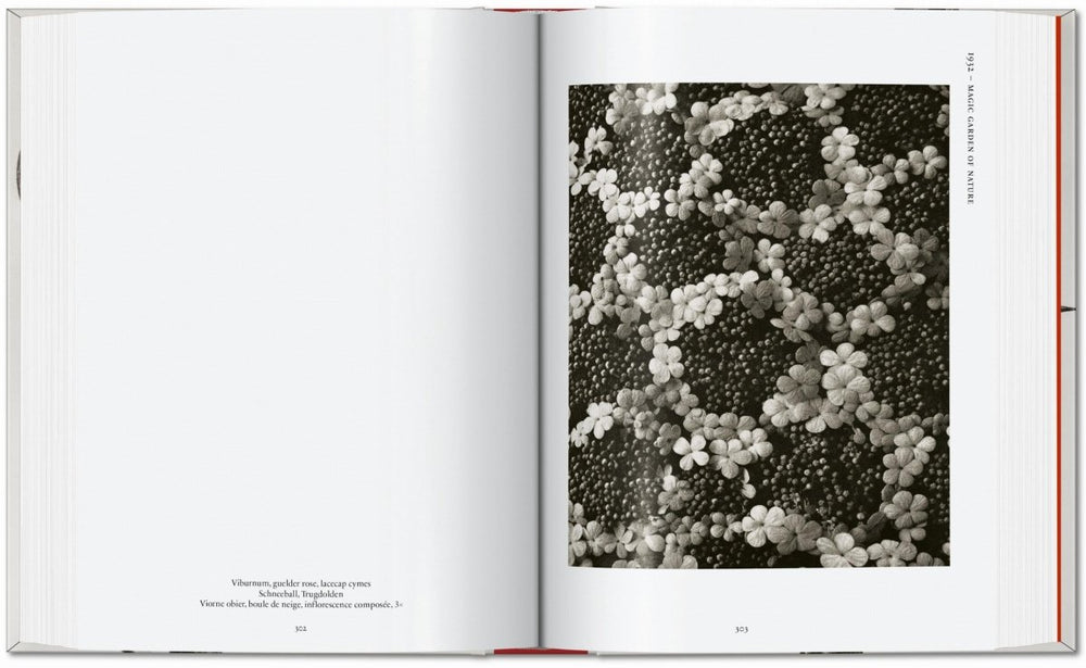 
                      
                        TASCHEN Karl Blossfeldt. The Complete Published Work. 40th Ed. (German, French, English) - lily & onyx
                      
                    