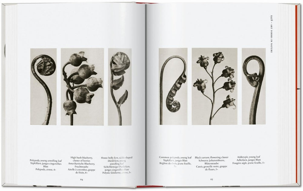 
                      
                        TASCHEN Karl Blossfeldt. The Complete Published Work. 40th Ed. (German, French, English) - lily & onyx
                      
                    