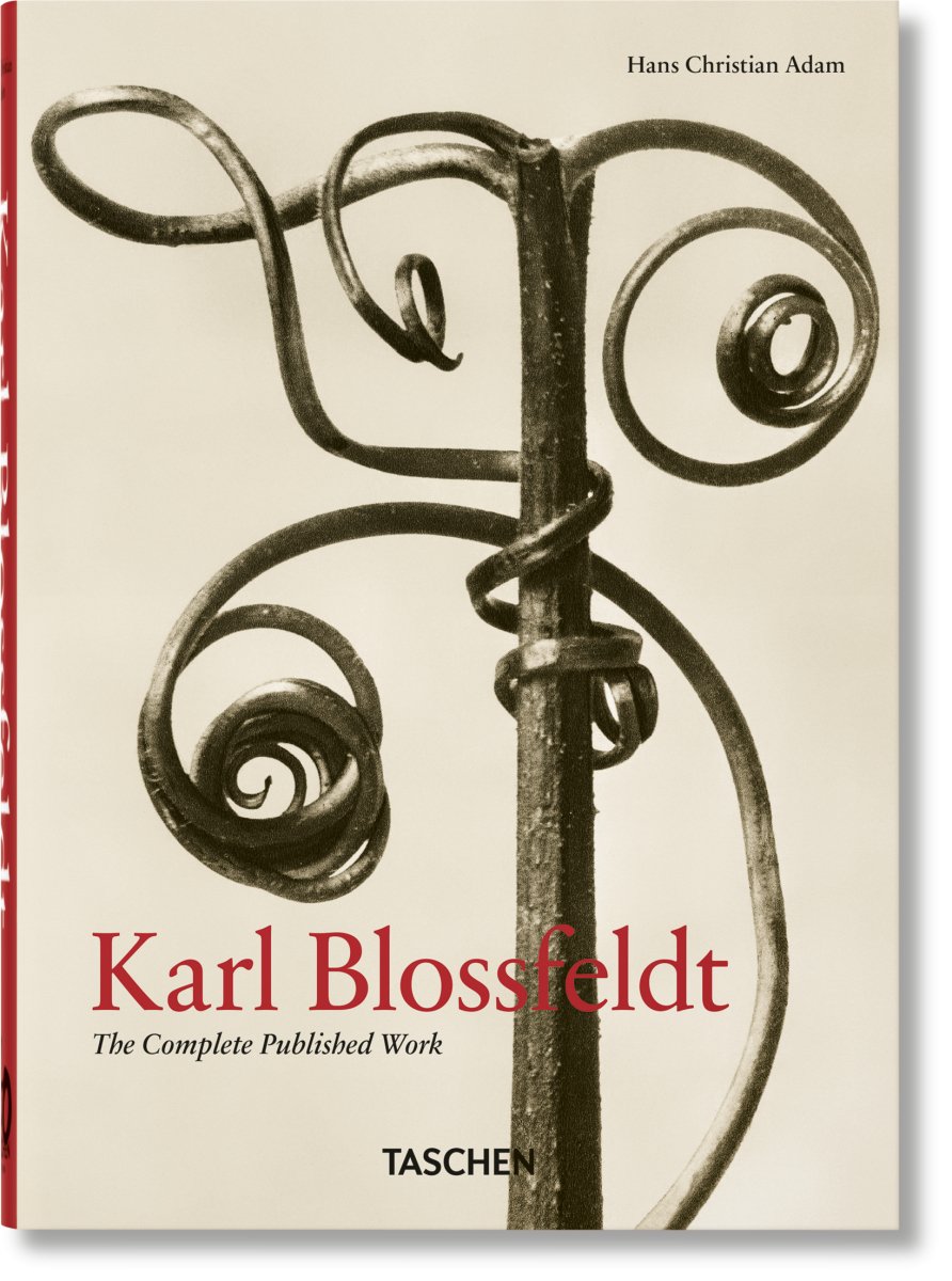 TASCHEN Karl Blossfeldt. The Complete Published Work. 40th Ed. (German, French, English) - lily & onyx