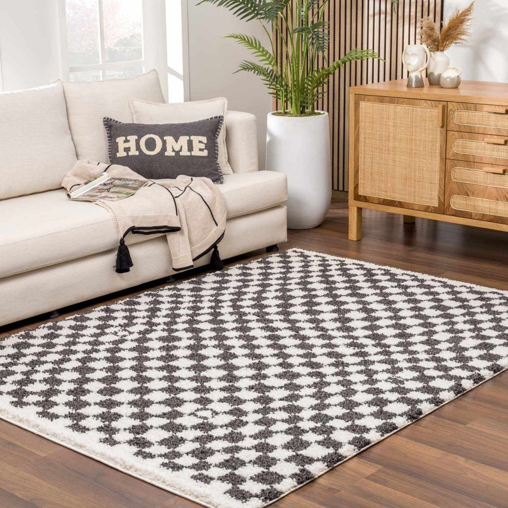 
                      
                        Hauteloom Kieu Black & White Checkered Area Rug - lily & onyx
                      
                    