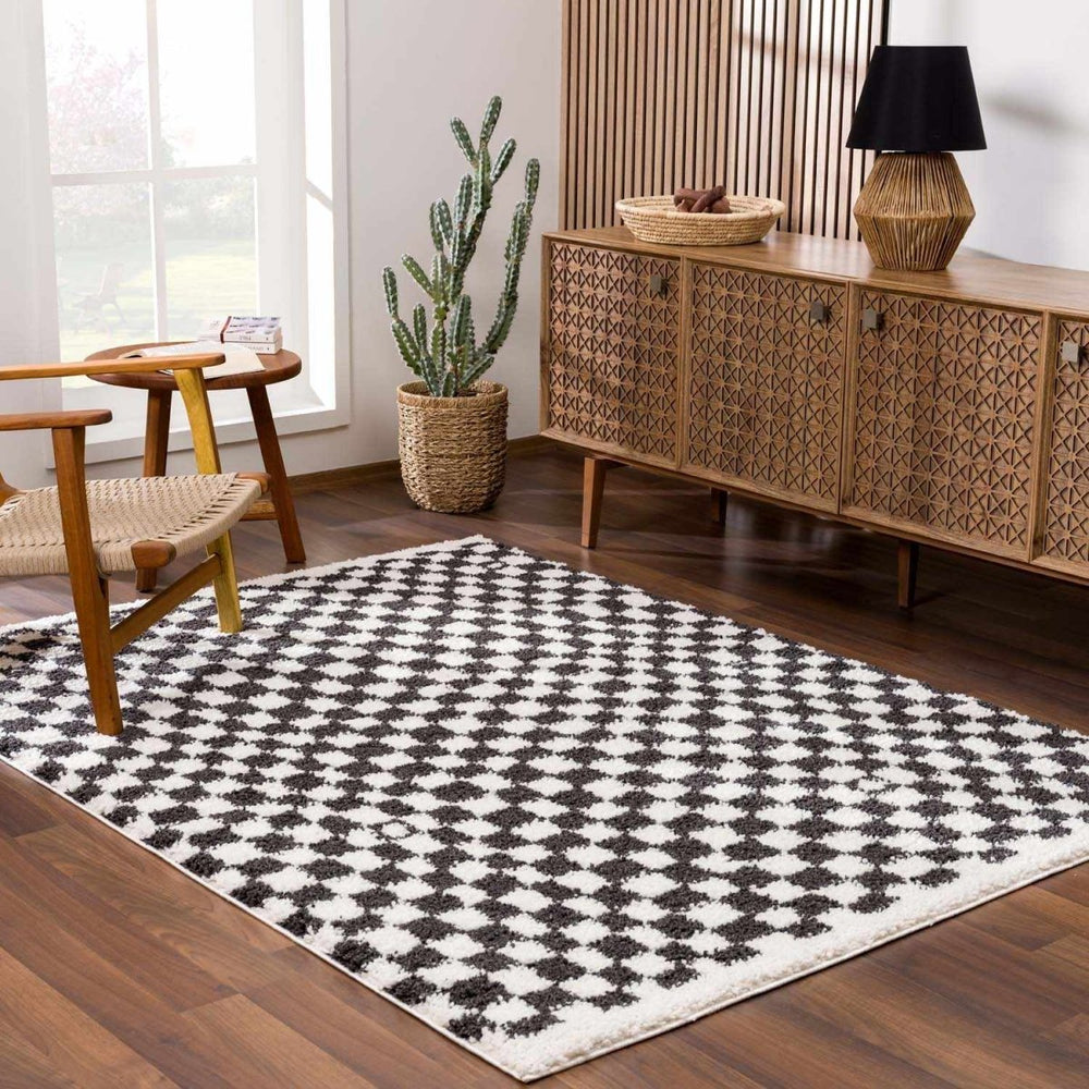 
                      
                        Hauteloom Kieu Black & White Checkered Area Rug - lily & onyx
                      
                    
