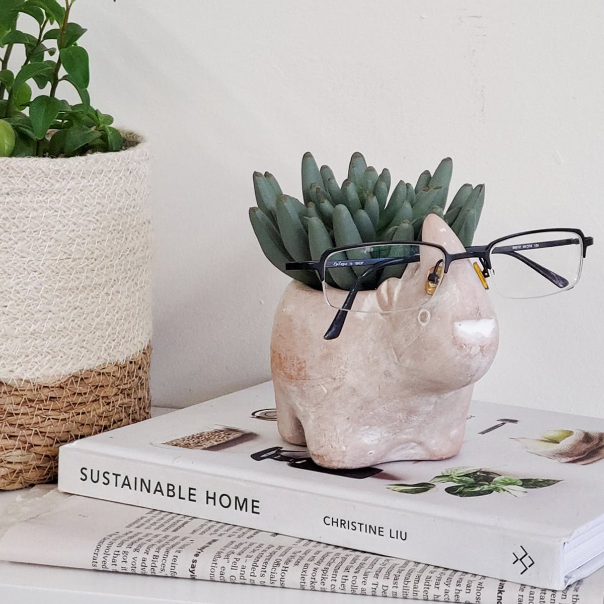 KORISSA Handmade Rhino Terracotta Plant Pot - Natural Clay 4.5" Planter