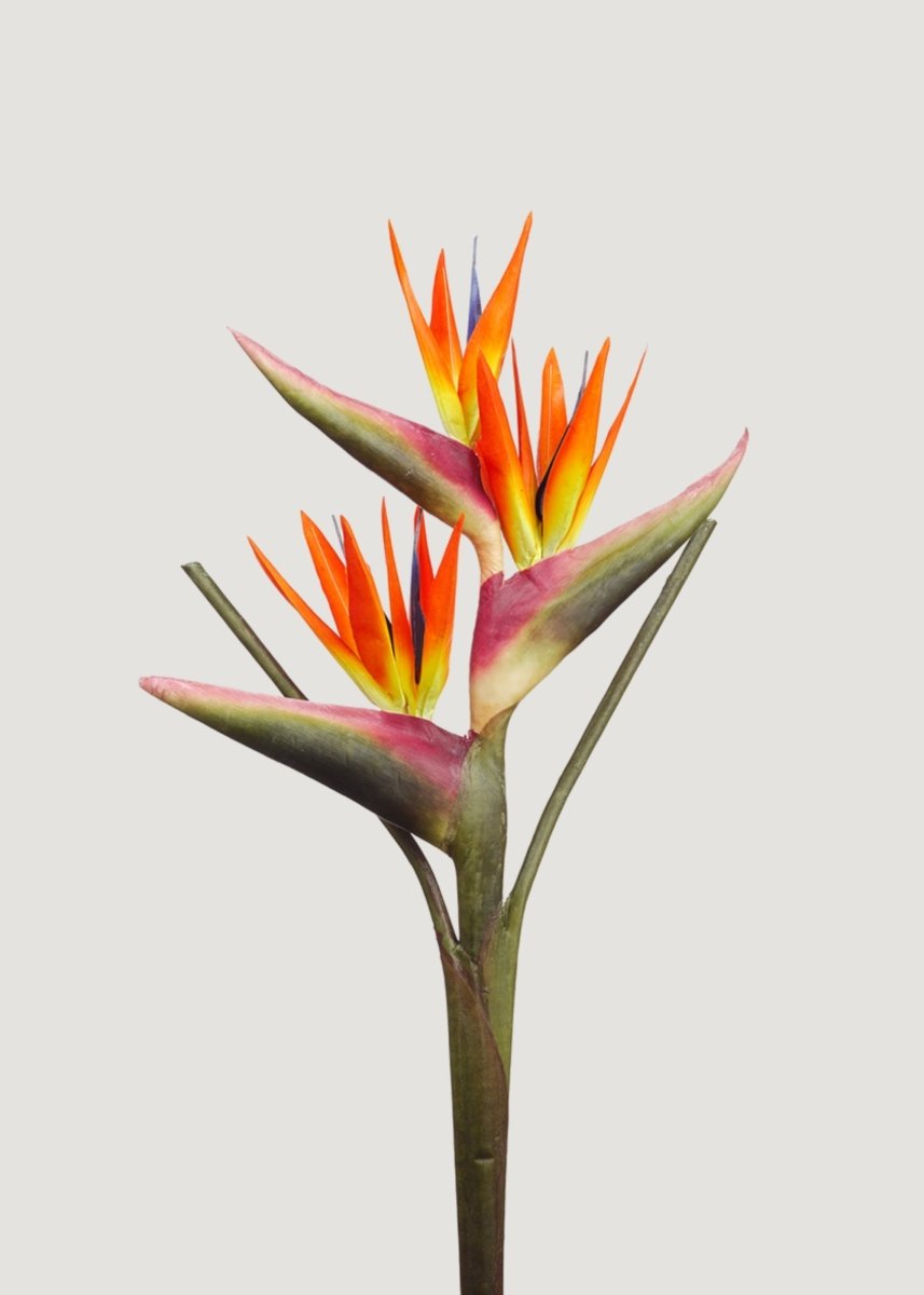 Afloral Large Bird of Paradise Faux Tropical Flower - 28" - lily & onyx