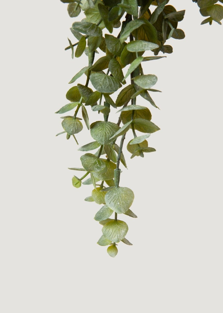 
                      
                        Afloral Large Faux Weeping Eucalyptus Hanging Bush - 32" - lily & onyx
                      
                    