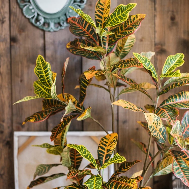 
                      
                        RusticReach Large Leaf Artificial Croton Tree In Pot - lily & onyx
                      
                    