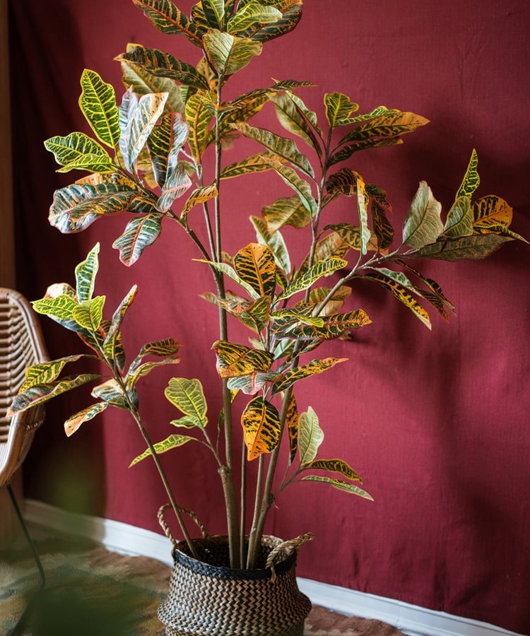 
                      
                        RusticReach Large Leaf Artificial Croton Tree In Pot - lily & onyx
                      
                    