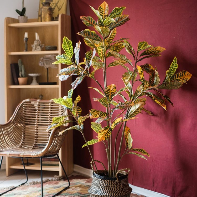 
                      
                        RusticReach Large Leaf Artificial Croton Tree In Pot - lily & onyx
                      
                    