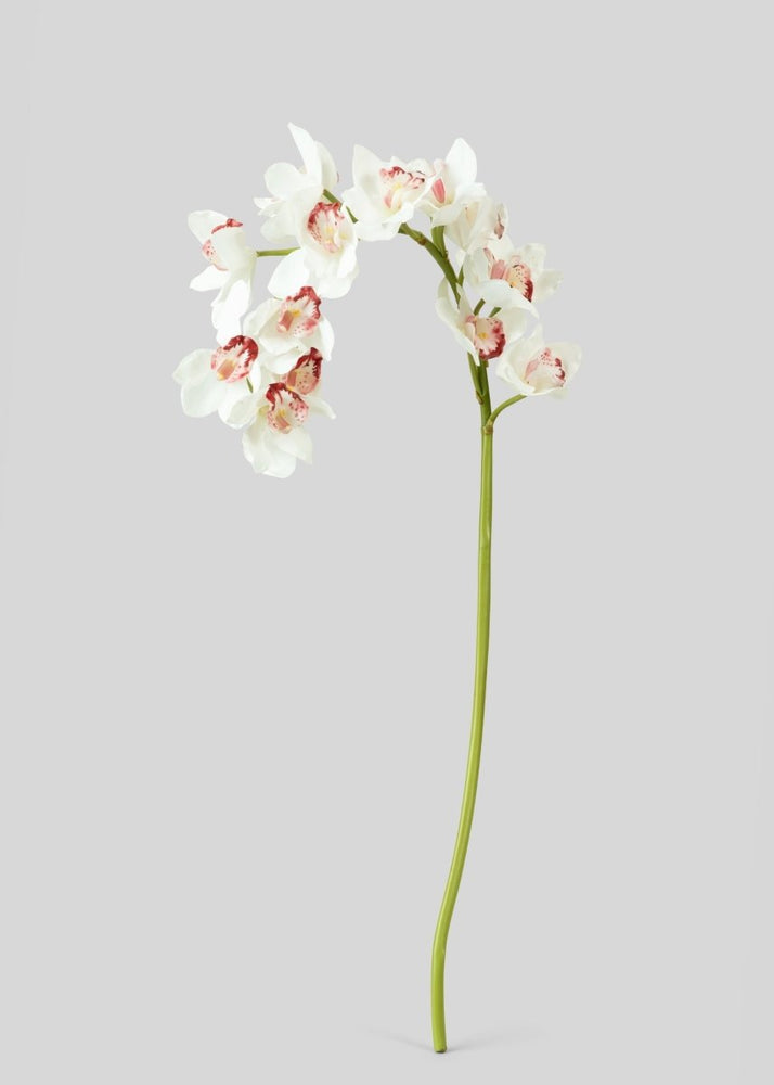 Afloral Large Natural Touch Cymbidium Orchid in White - 45" - lily & onyx