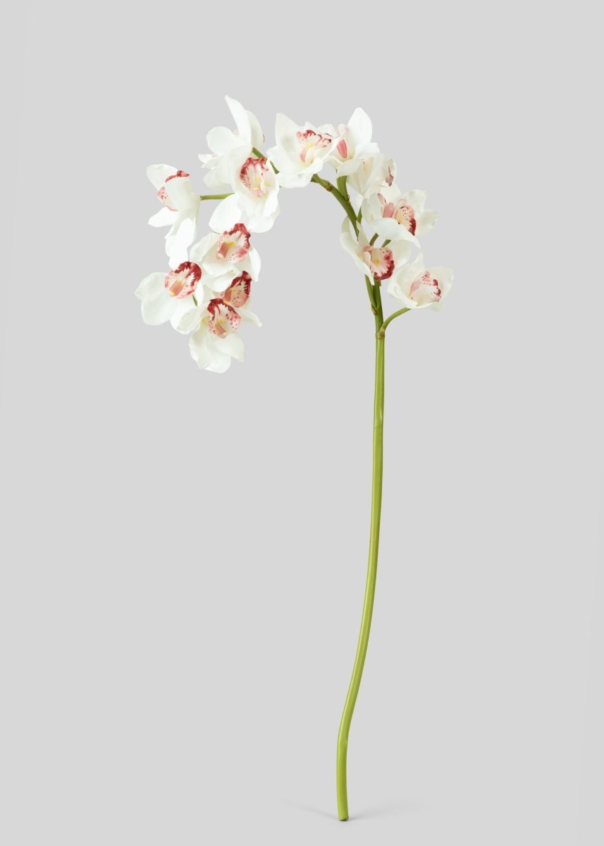 Afloral Large Natural Touch Cymbidium Orchid in White - 45" - lily & onyx