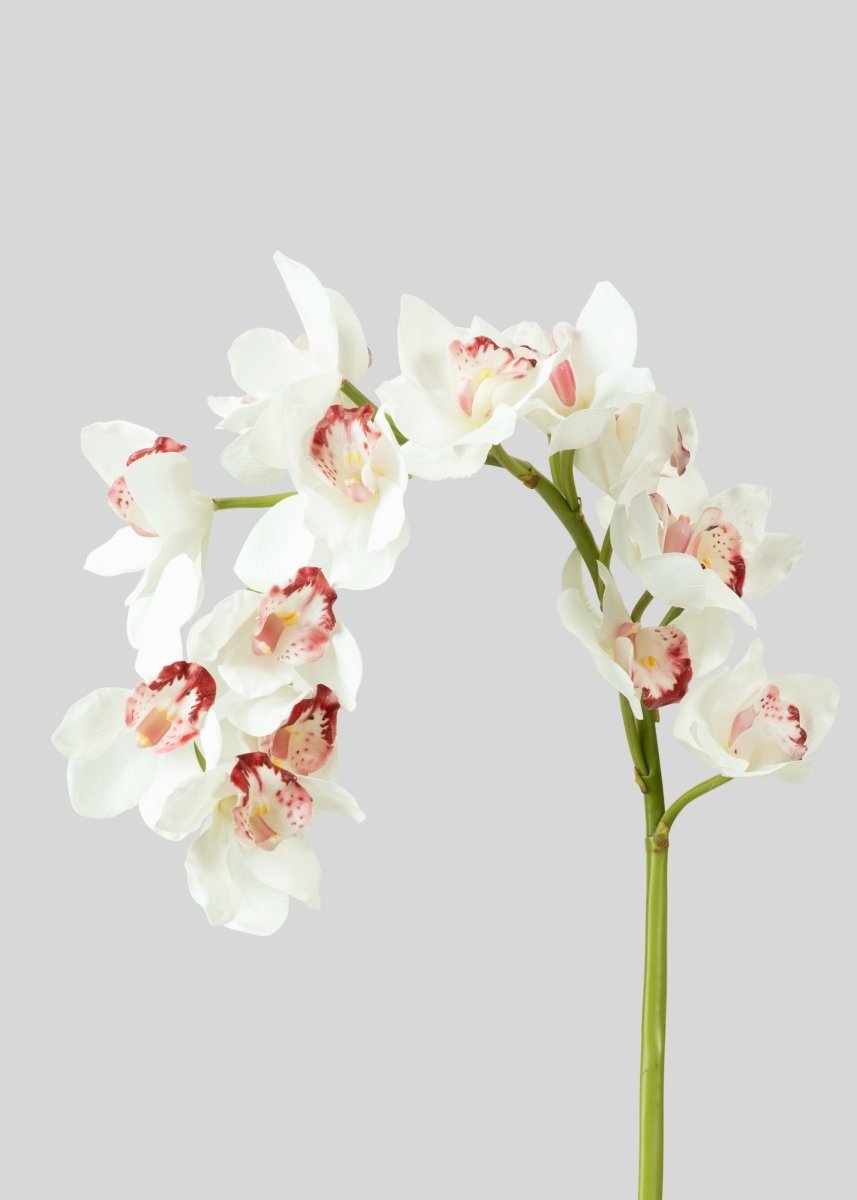 Afloral Large Natural Touch Cymbidium Orchid in White - 45" - lily & onyx