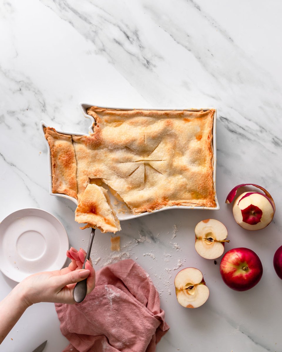 Lark at Home Washington State Porcelain Baking Dish - 11" White Oven - Safe Serveware