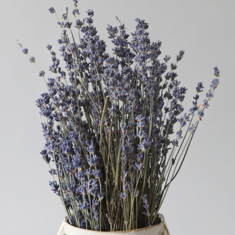
                      
                        Natural Fragrant Dried Lavender Bundle, 6-14"
                      
                    
