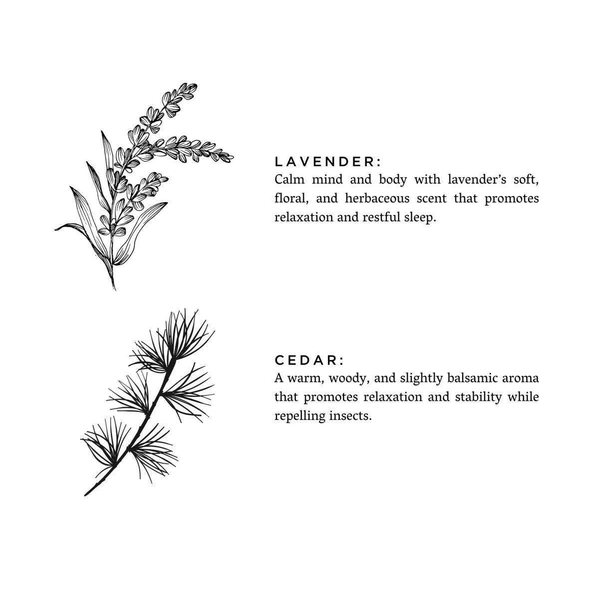 Slow North Lavender + Cedar Frosted Candle, 8 oz - lily & onyx