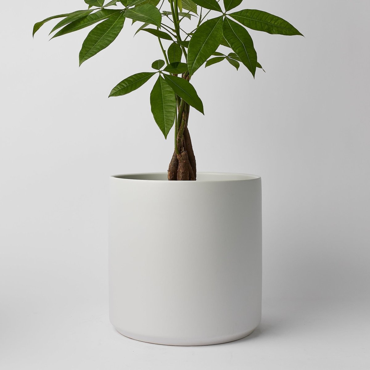 LBE Design 12 Inch Ceramic Cylinder Planter - Waterproof Stoneware Matte Glaze