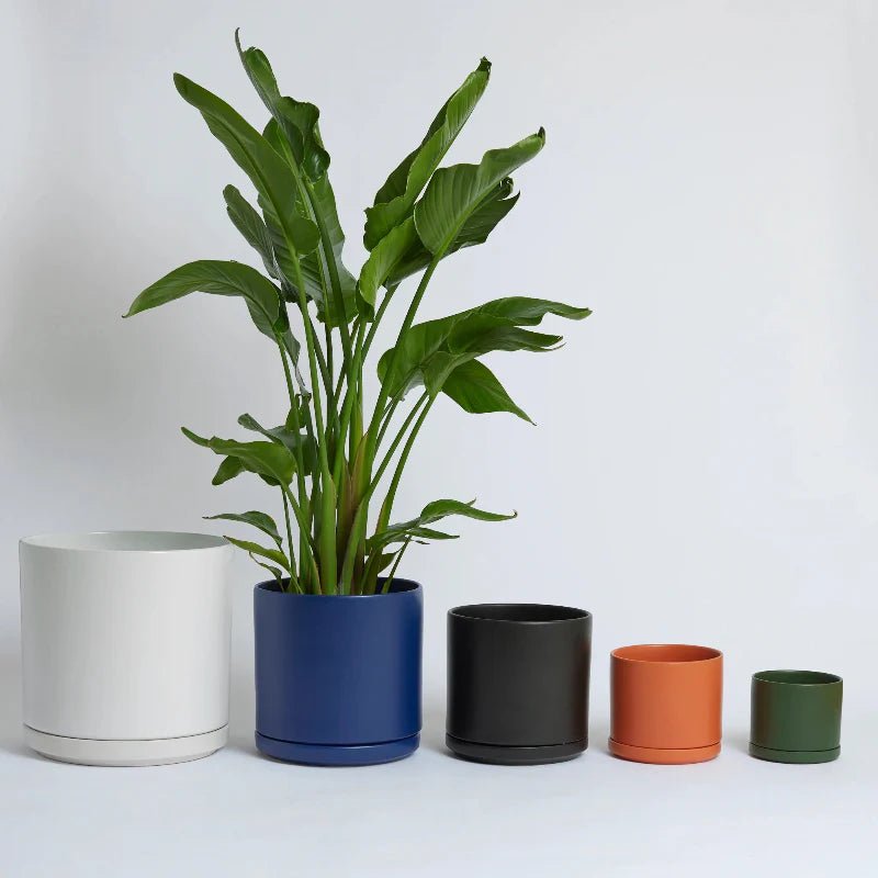 LBE Design Ceramic Cylinder Planter with Saucer - Glazed Stoneware Pot